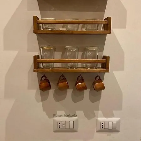 Flower Edelweiss - Paradiso