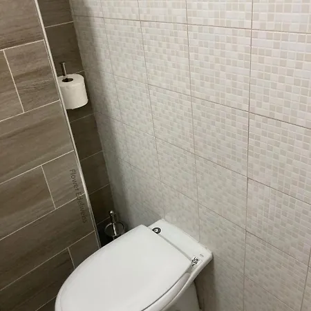 Flower Edelweiss - Paradiso