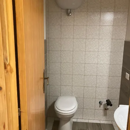 Flower Edelweiss - Paradiso Roccaraso