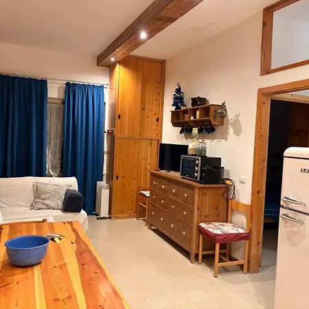 Flower Edelweiss - Paradiso