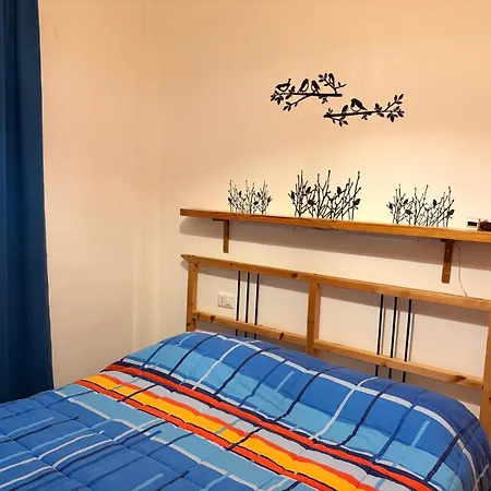 Flower Edelweiss - Paradiso *