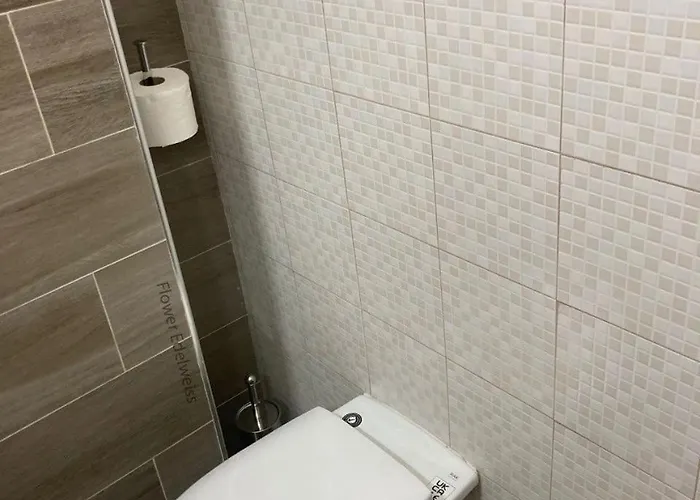 Flower Edelweiss - Paradiso