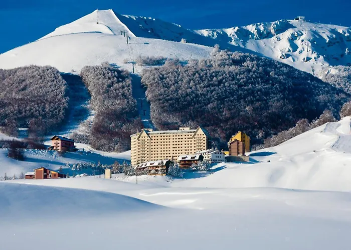 Flower Edelweiss - Paradiso * Roccaraso