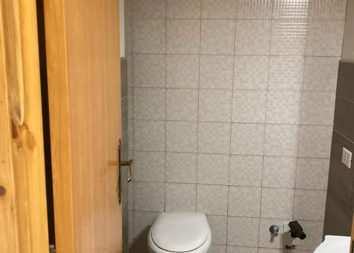 Flower Edelweiss - Paradiso Roccaraso