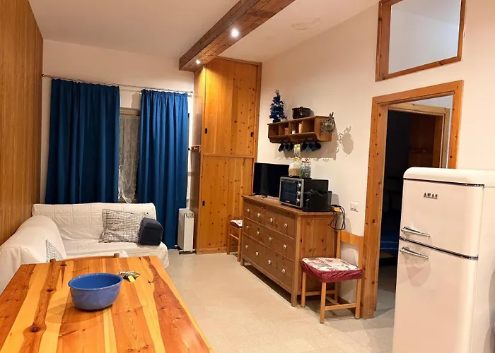 Flower Edelweiss - Paradiso